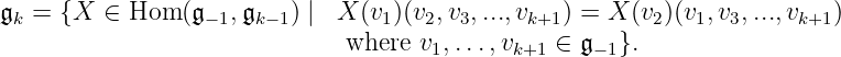 𝔤k= {X ∈ Hom (𝔤 −1,𝔤k−1) | X (v1)(v2,v3,...,vk+1 ) = X (v2)(v1,v3,...,vk+1)
where v1,...,vk+1 ∈ 𝔤− 1}.