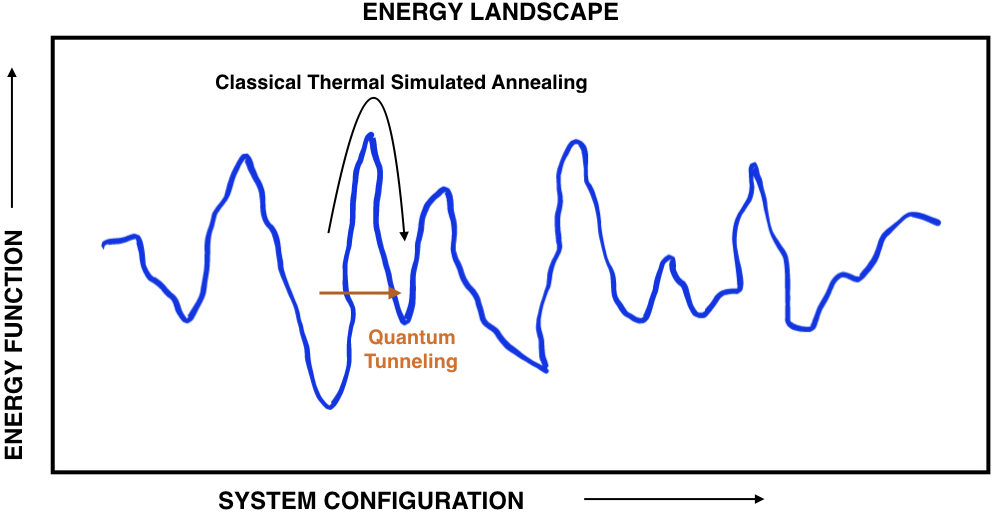 PNLD_Anneal.jpeg